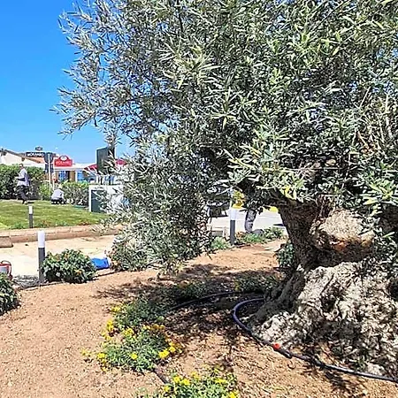 Levante - Isola D'elba 里约滨海